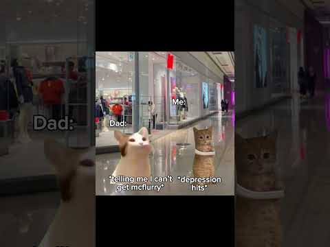 Shopping trip Part 2!! #cat #viral #meme #relatable #fypシ゚viral #catmemes #relatablepov #fyp #catpov