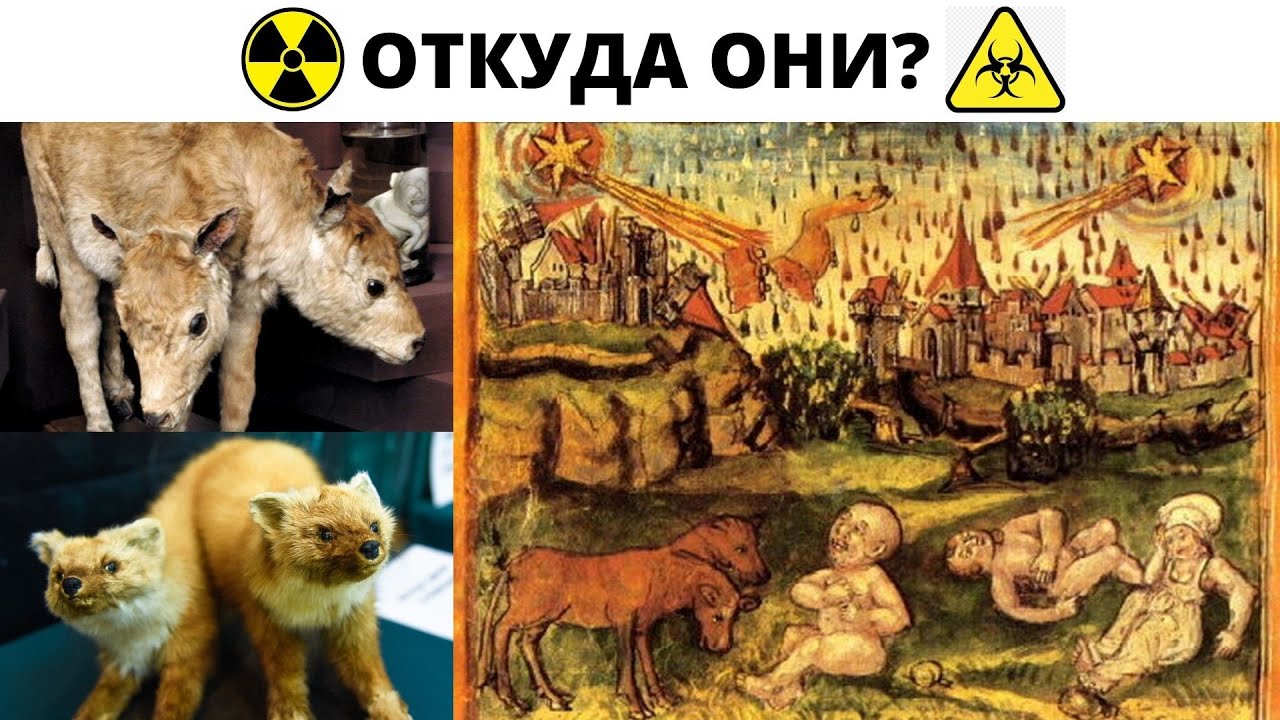 Ядерные мутанты от керосиновой лампы?