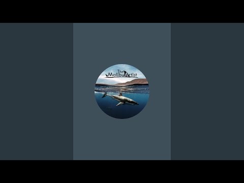 Great White Shark LIVE