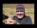 Mammalogy Concepts and Species Identification
