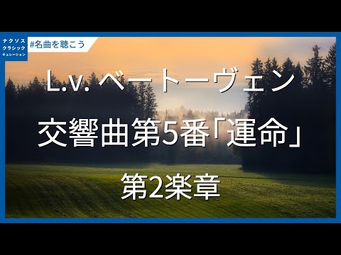 ベートーヴェン: 交響曲第5番 ハ短調「運命」 Op. 67 - 第2楽章／Beethoven: Symphony No. 5 in C Minor, Op. 67 - II.