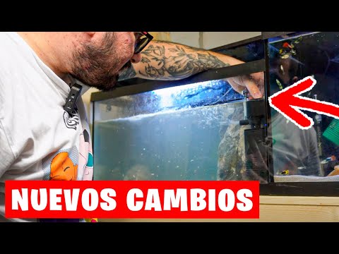 CAMBIOS IMPORTANTES EN EL ACUARIO DE MI TORTUGA
