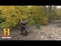 Survival and Nutrition Insights