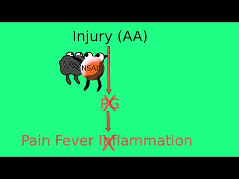 How Long Does Ibuprofen Work Jobs Ecityworks