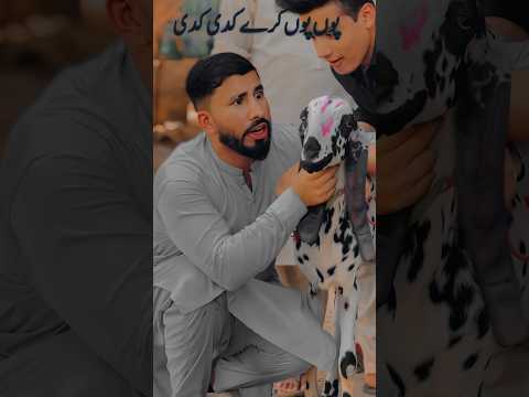 Bakra laray badu badi?❤️ Thanks 2 million #eidmubarak #trending #viral #shorts #newsong #pabbiking