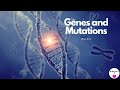 Mutations and Their Effects