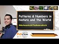 Mathematics and Its Role in Nature