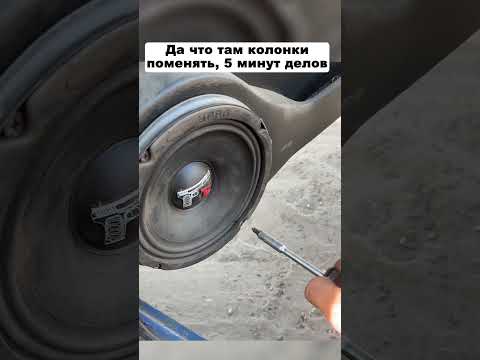 Когда решил что сам поменяешь динамик