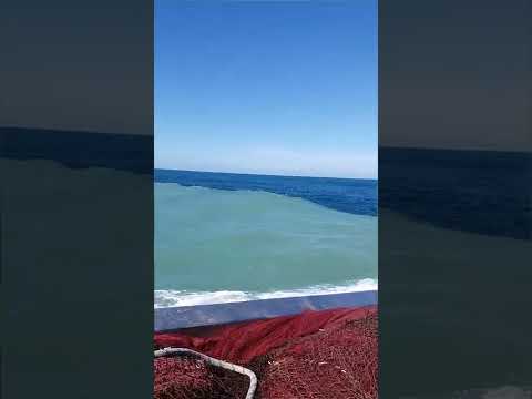 معجزة أدهشت العالم وتسببت في إسلام الكثير💙😲