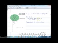 Photosynthesis and Light Absorption Concepts