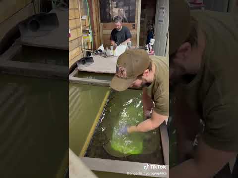 Neon green motorcycle custom hydrograph application  #custom #hydrodipping #automobile #fyp #trend