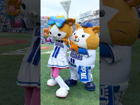 かまって〜かまって〜〜🐹🌟
