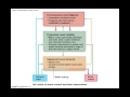 Motor Control Levels and Functions