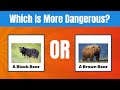 Understanding the Video Tutorial