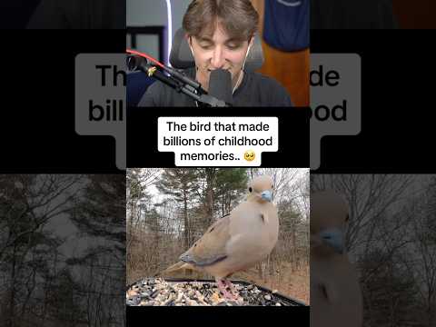 The Bird That Made So Many Childhood Memories! 😱 #shorts