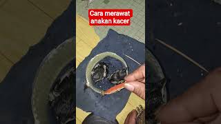 25 Maret 2026