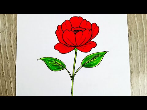 رسم سهل | كيفية رسم وردة جميلة خطوة بخطوة | تعلم رسم وردة سهل للمبتدئين | رسم وردة | رسومات سهله