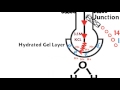 Understanding pH Measurement Concepts