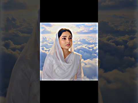 সালমা টনির পূনর্মিলন হলো #facts #lovemusic #lovesong #lovestatus #love #shorts #shortsfeed