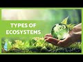 Ecosystem Components and Characteristics