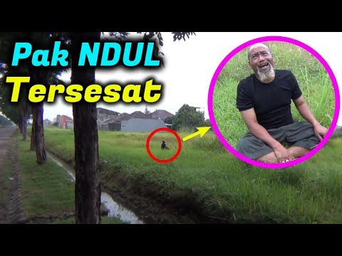 Pak Ndul - TERSESAT