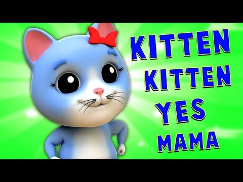 kucing anak kucing ya mama | Kitten Kitten Yes Mama | Farmees Indonesia | Lagu Anak