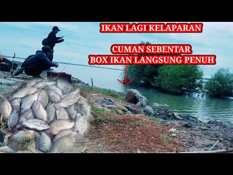 Mancing Di Sarang Ikan Yang Lagi Kelaparan,Spot Mancing Pasiran,Fishing