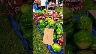 a5 father's day carboot  #carbootfinds #carboot #carbootsale #birmingham #cannock