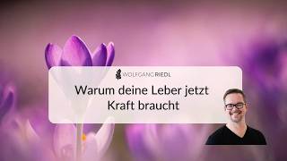 Warum deine Leber jetzt Kraft braucht