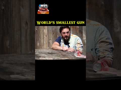 Worlds Smallest Gun#shorts #hindifacts