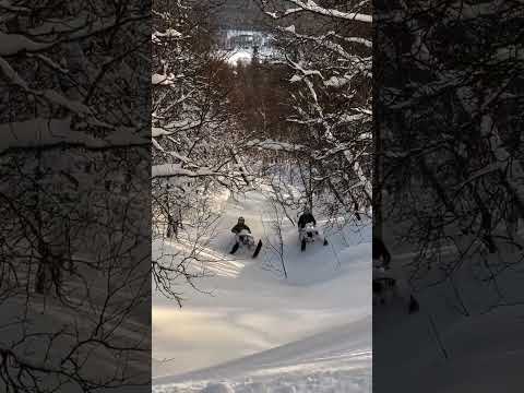 Boost x2๐คฉ๐ค๐ผ