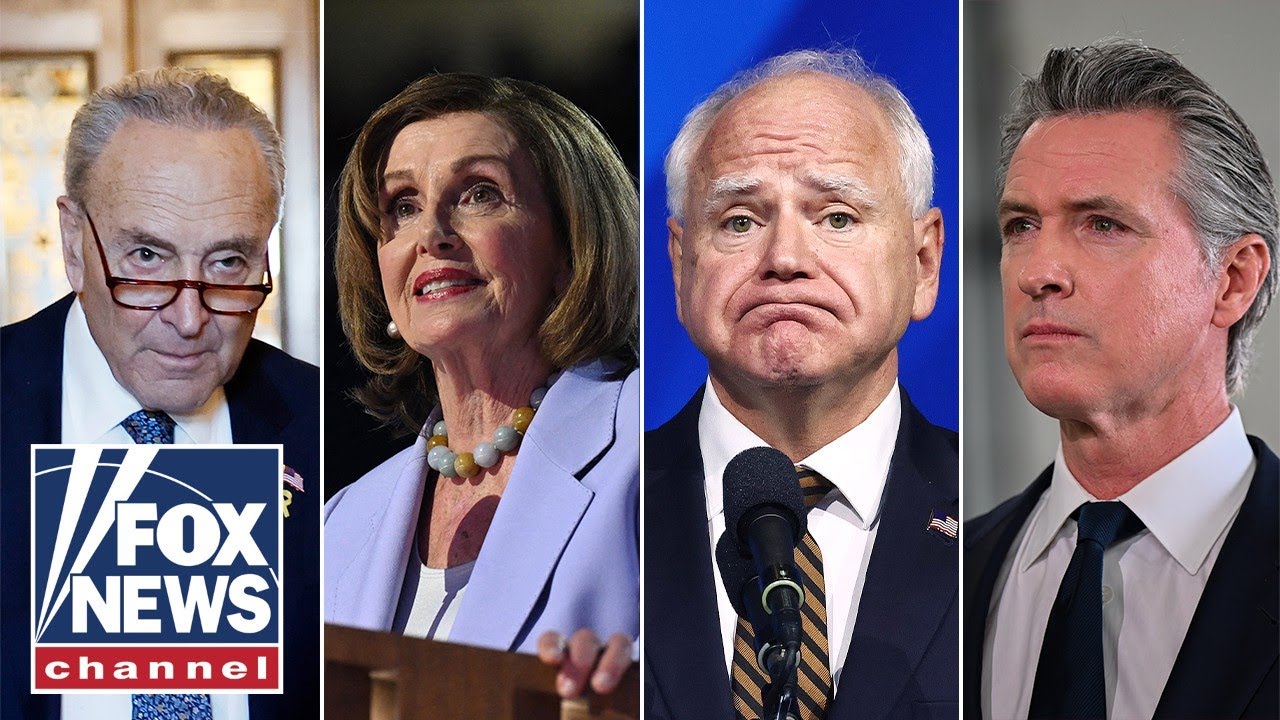 Dems seem to have ‘forgotten’ how to be politicians, says RNC national spokeswoman