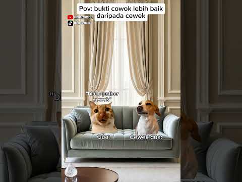 Pantesan serem🤣#kucinglucu #meme #cat #kucing #youtubeshorts