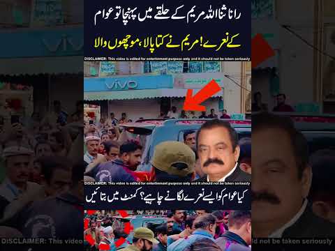 Maryam na kutta🐶 pala !! 🤣😱 #maryamnawaz #pmln #viralshorts #ranasanaullah