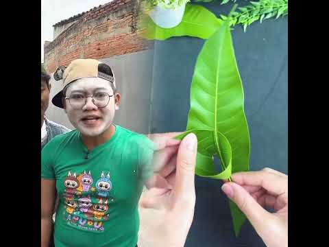 Kenalin nih abang gue!