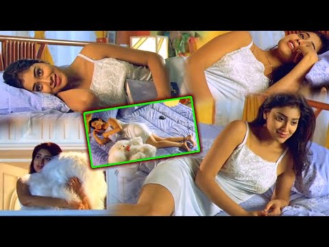 Nuvve Nuvve Shriya Beautiful Scenes || Movie Express