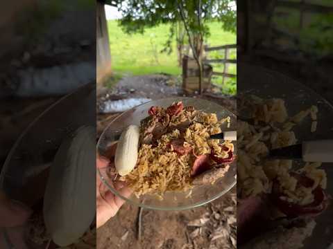 Dia de ir no outro sítio é uma alegria 👨🌾🏠