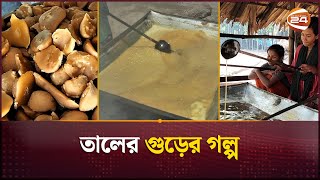 তালের গুড়ের গল্প | Palm molasses | Channel 24