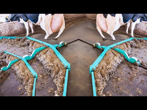 COWSHED CLEANING HACK GONE VIRAL: Saves 30 Hours Weekly 🧹✨ | METHOD FARMERS DON'T WANT YOU TO SEE