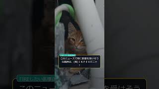 【猫解説】日本の貿易赤字拡大、円相場の重しに #Shorts