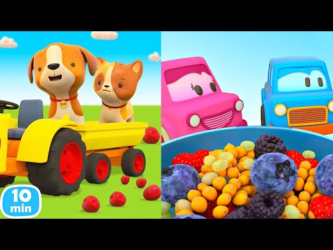 Машинки собирают фрукты и ягоды 🍏🍓 Мультики Умные Машинки и Машины помощники