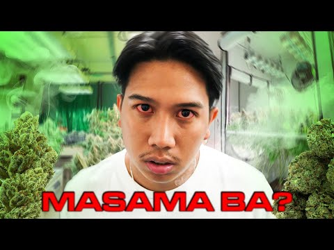 Masama ba talaga ang MARIJUANA?!