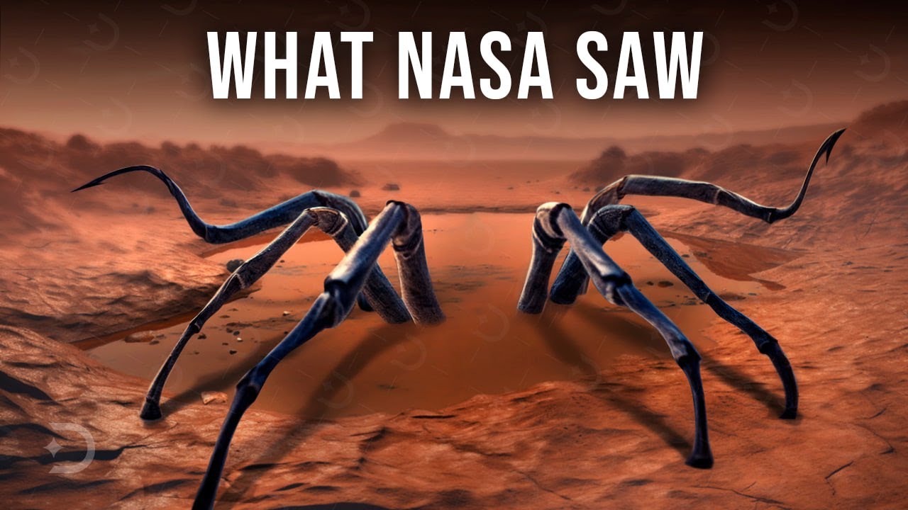 You Won’t Believe Your Eyes When You See What NASA Found on Mars
