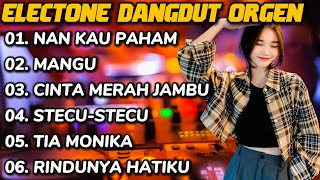 DANGDUT NAN KAU PAHAM MANGU CINTA MERAH JAMBU SETECU STECU TIA MONIKA - ELECTONE TUNGGAL DANGDUT
