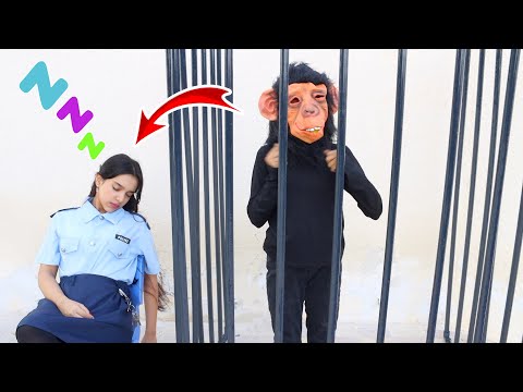 Monkey escape from jail !