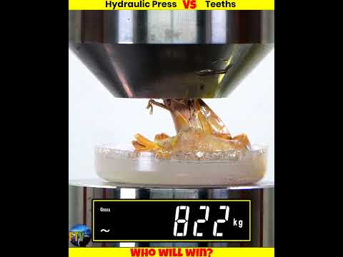 Different Teeth Vs Hydraulic Press #shorts #whatif #uniqueexperiment #मजेदारविडिओ
