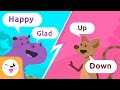 Exploring Synonyms and Antonyms with Hippo and Mouse