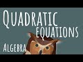 Understanding Polynomial and Quadratic Equations