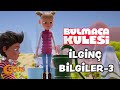 Ultrasonik Sesler ve Çevresel Bilgiler