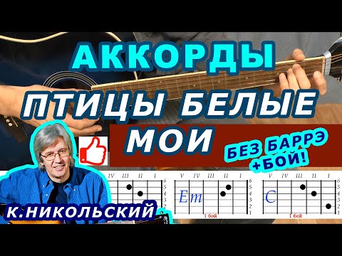 ПТИЦЫ БЕЛЫЕ МОИ Аккорды 🎸 КОНСТАНТИН НИКОЛЬСКИЙ Воскресенье ♪ Разбор песни на гитаре Для начинающих